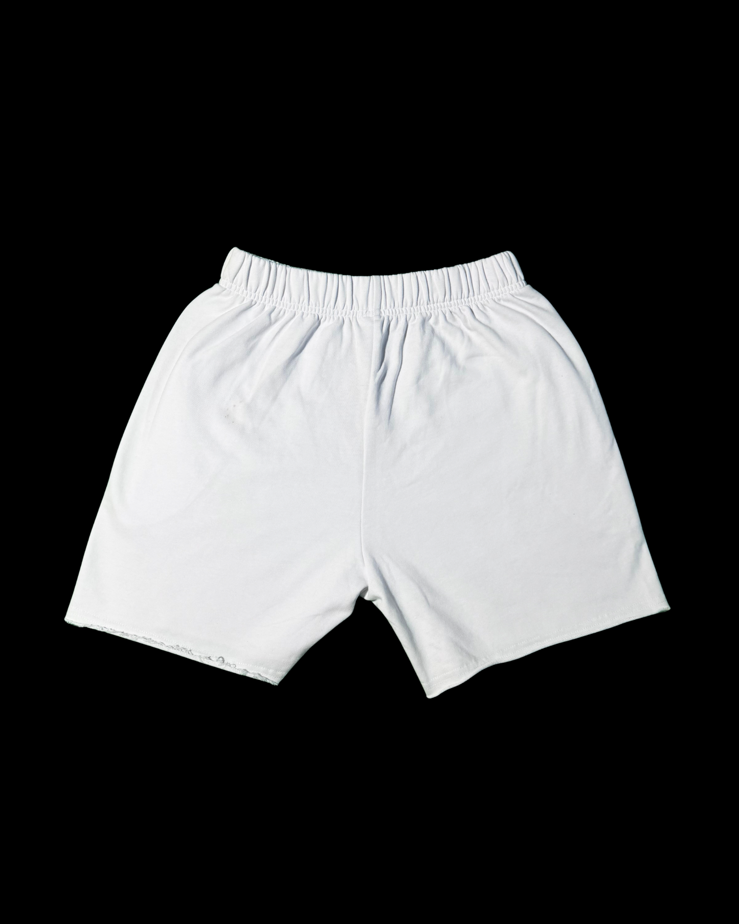 X-BISON SHORTS