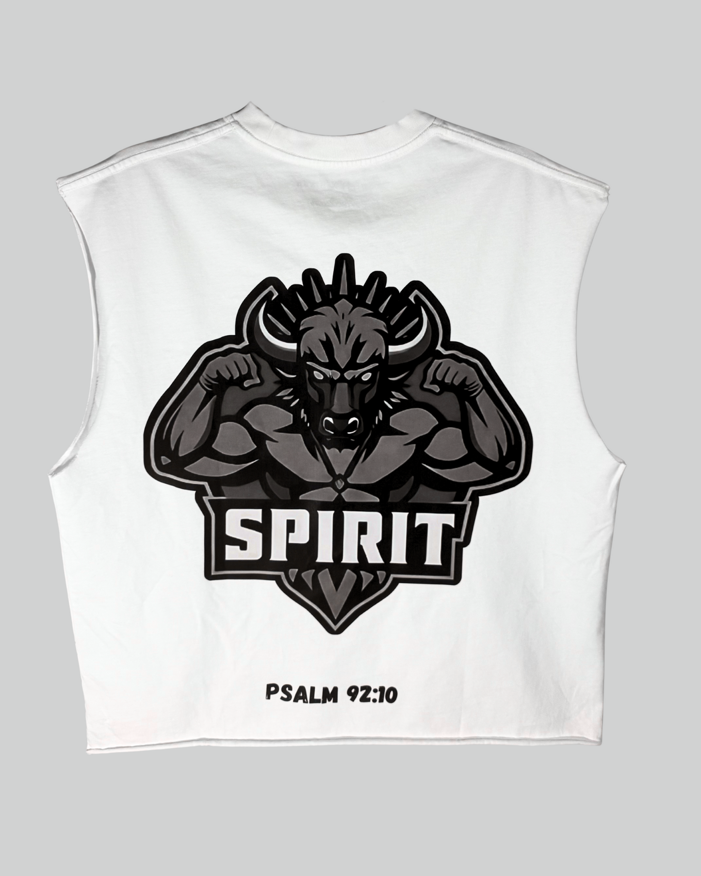 X-SPIRIT SHIRTS