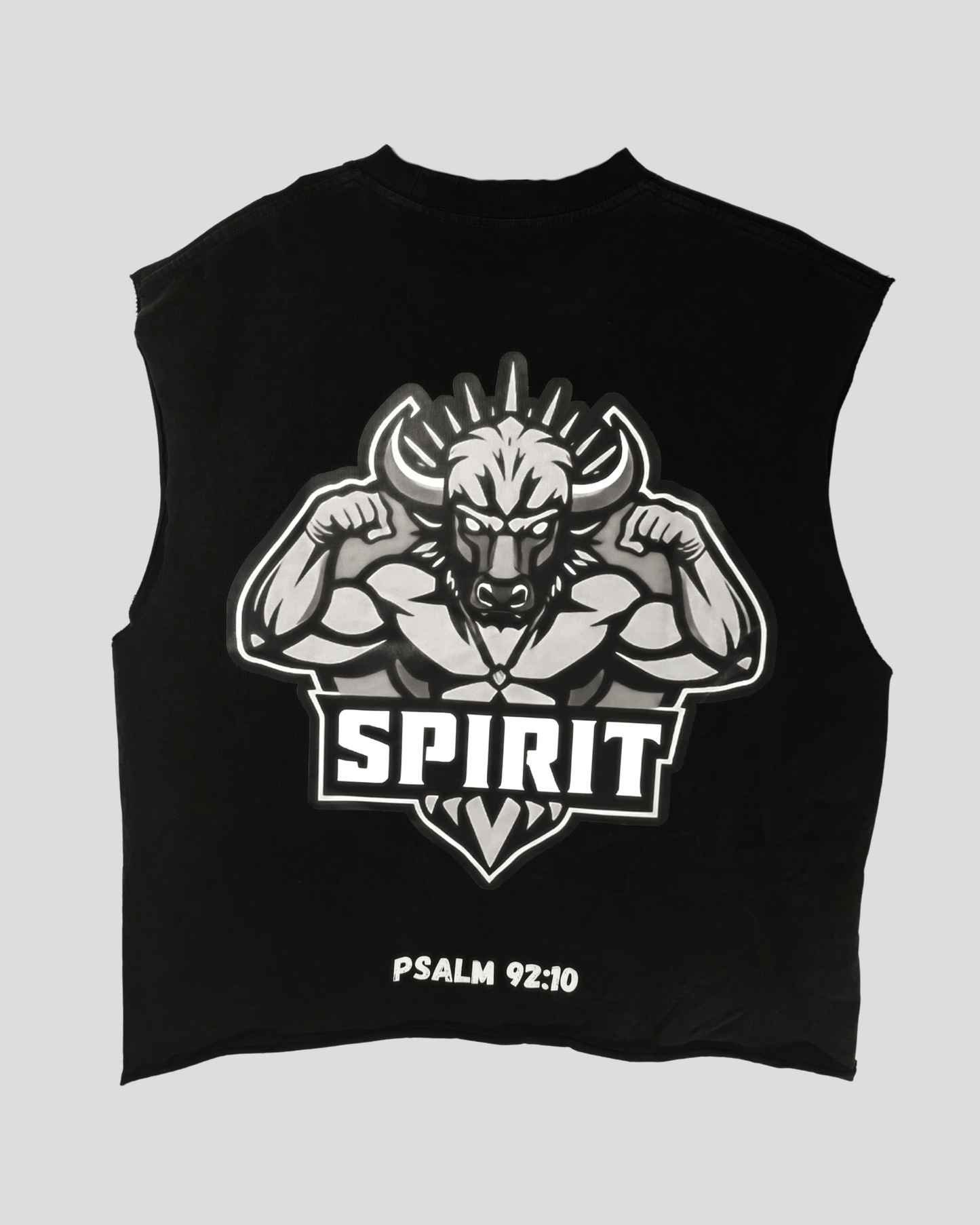 X-SPIRIT SHIRTS