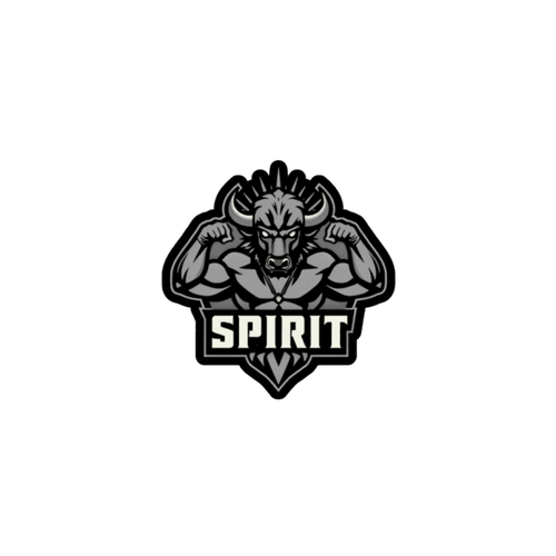 Spirit X Bison